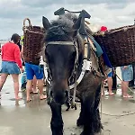 Casiola - Cozy Retreat Near At Holiday home Koksijde